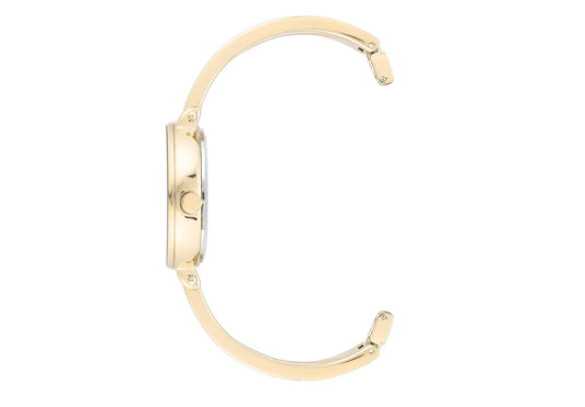 Anne Klein Women’s Green Watch Set
