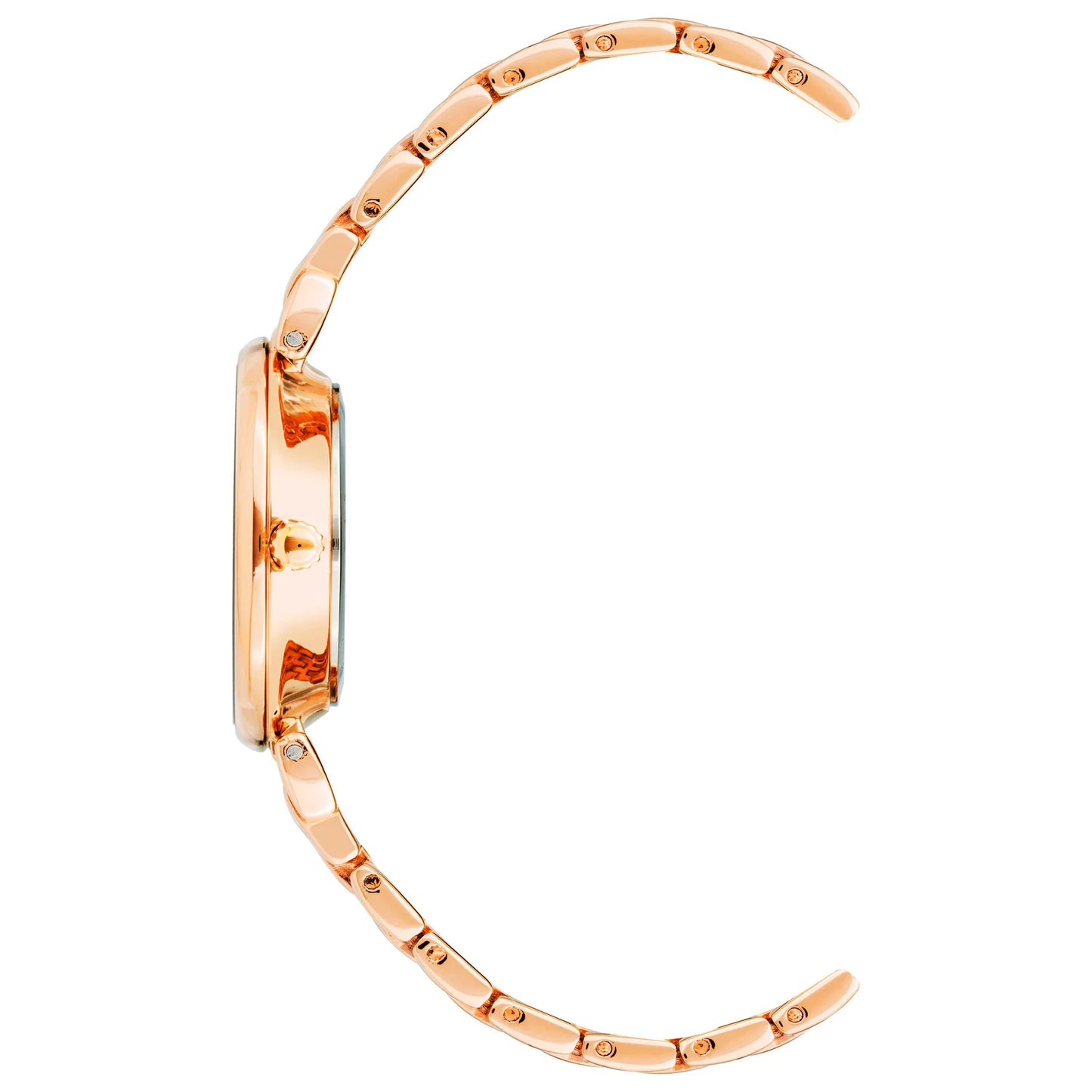 Anne Klein Green Dial Women's Watch